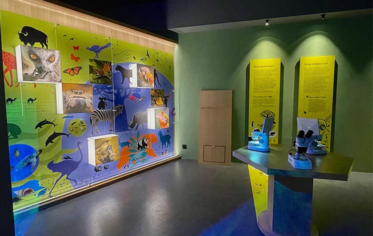 Εθνικό Μουσείο Φυσικής Ιστορίας Γουλανδρή: Άνοιξε η Έκθεση «Βιοποικιλότητα. Όλα συνδέονται»