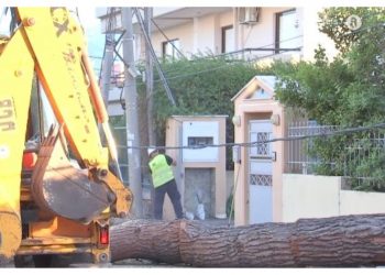 Πτώση δέντρου στην Κηφισιά: Ζημιές και προβλήματα ηλεκτροδότησης
