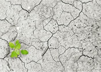 Χωρίς δάση = λειψυδρία