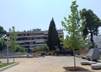 Σύλλογος Άη Γιάννη: Ερωτήματα στον Δήμο για την κοπή δέντρων