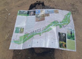 Σύλλογος Ρεματιάς: Πώς μπορείς να βοηθήσεις στην πυροπροστασία