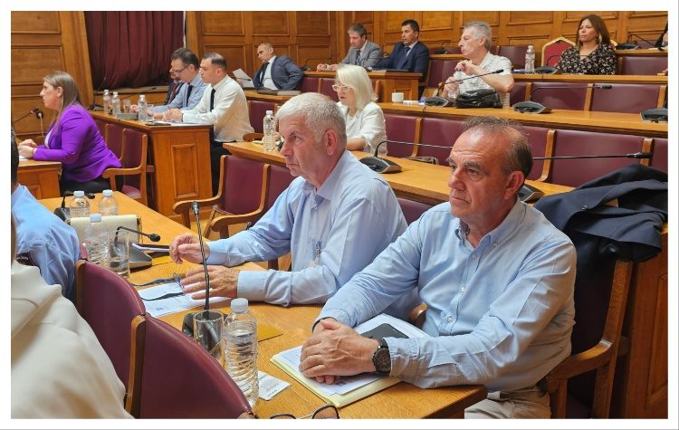 Σε συνεδρίαση Επιτροπής της Βουλής για την Πολιτική Προστασία συμμετείχε ο Βλάσσης Σιώμος