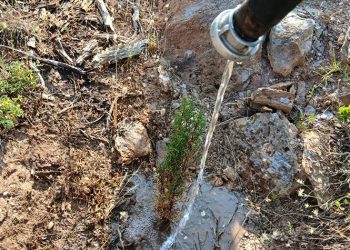 ΣΠΑΠ, Δήμος και «Όλοι Μαζί Μπορούμε» πότισαν για να πρασινίσει και πάλι ο Κοκκιναράς