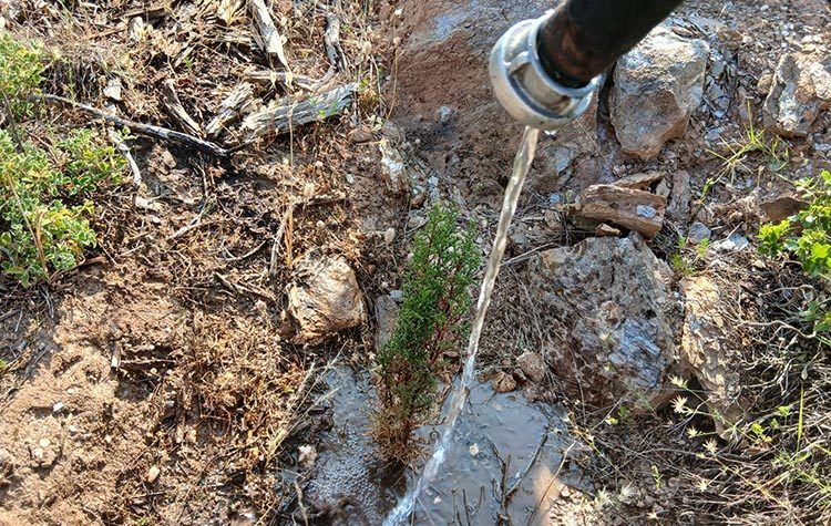 ΣΠΑΠ, Δήμος και «Όλοι Μαζί Μπορούμε» πότισαν για να πρασινίσει και πάλι ο Κοκκιναράς