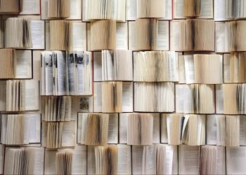 Σπαράγµατα φωνής από έναν τεθνεώτα τοίχο…