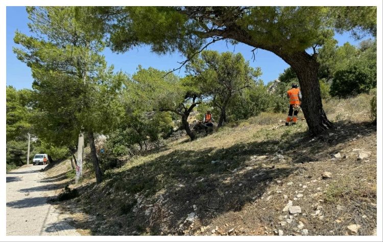 Σε εξέλιξη εργασίες για τη δημιουργία ζωνών πυροπροστασίας