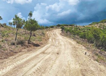 Δημιουργία αντιπυρικών ζωνών· φωνή βοώντος… από τους δασολόγους