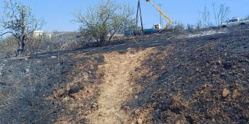 Καίγεται ότι αγαπήσαμε