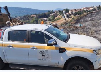 Κρυονέρι: Τι αναφέρει η νεότερη ενημέρωση του Δήμου για τις διαδικασίες μετά την πυρκαγιά