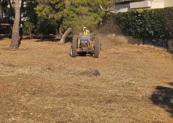 Μ. Τάρλας: «Καθαρισμένο το 95% των οικοπέδων»