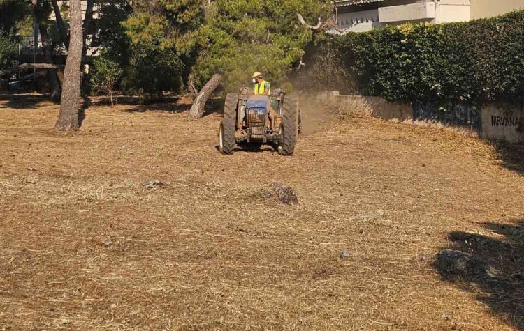 Μ. Τάρλας: «Καθαρισμένο το 95% των οικοπέδων»