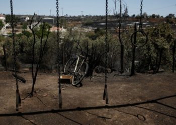 Αυτοψία του Κ. Κατσαφάδου στις πληγείσες περιοχές από την πυρκαγιά στο Κρυονέρι