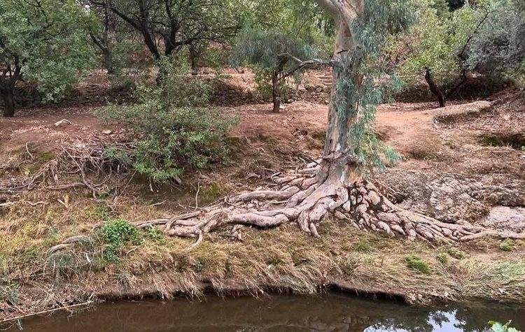 Ομόφωνο «Όχι» για τον Ποδονίφτη