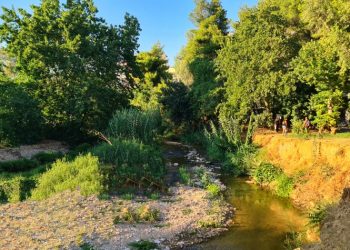 Νέα σύναψη Συνεργασίας του Συλλόγου Πολιτών υπέρ των Ρεμάτων «ΡΟΗ» 