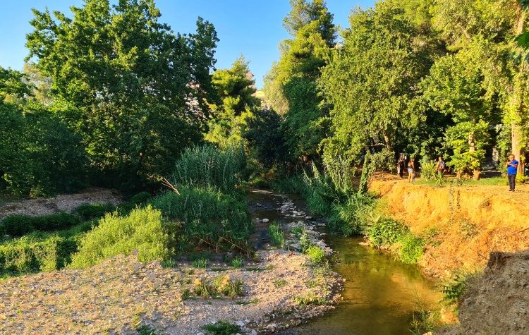 Νέα σύναψη Συνεργασίας του Συλλόγου Πολιτών υπέρ των Ρεμάτων «ΡΟΗ» 