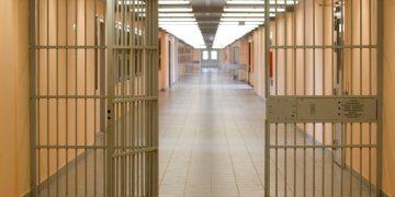 Εκτός φυλακής οι Ηλ. Παναγιώταρος και Χρ. Παππάς της Χρυσής Αυγής