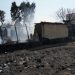 Υπό έλεγχο η πυρκαγιά στην Ανατολική Αττική - Αποτεφρώθηκαν 40.000 στρέμματα