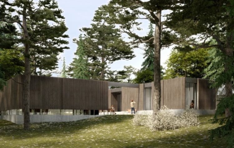 Pavilion, Ηλέκτρα 7 και μίνι συναυλία του Blaine Reininger