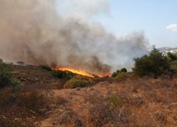 Πυρκαγιά στην Ανατ. Αττική: Ξεκίνησαν οι αυτοψίες στις πληγείσες περιοχές