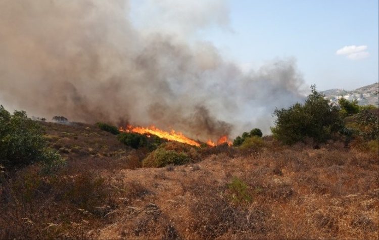 Πυρκαγιά στην Ανατ. Αττική: Ξεκίνησαν οι αυτοψίες στις πληγείσες περιοχές