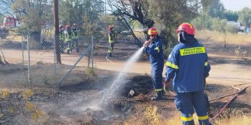 Στην πυρκαγιά στην Παιανία συνέδραμε η Πολιτική Προστασία του Δήμου Βριλησσίων