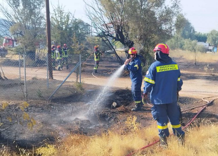 Στην πυρκαγιά στην Παιανία συνέδραμε η Πολιτική Προστασία του Δήμου Βριλησσίων