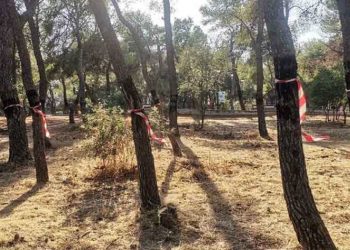 Σύλλογος «Νηρόν» Νέας Λέσβου: «Αιφνιδιαστική έναρξη εργασιών για περιμετρικές ζώνες»