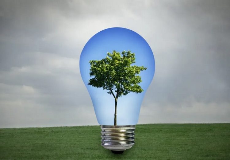 Ολοκληρώθηκε το πρόγραμμα «LifeLoop»