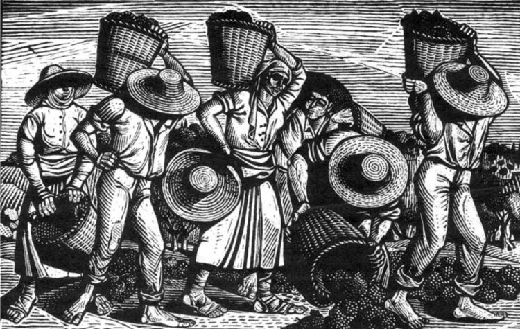 Σεπτέµβριος, ο τρυγητής µήνας του Φθινοπώρου!