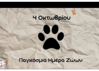 Εκδήλωση για την Παγκόσμια Ημέρα των Ζώων στην πλατεία Αγίου Γεωργίου Μελισσίων