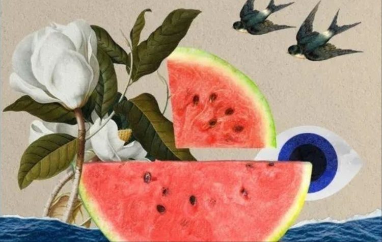 «Η μουσική κόντρα στη σιωπή» – Δύο συναυλίες για τον λαό της Παλαιστίνης