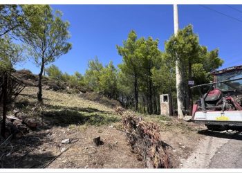 Νέα Πεντέλη: Με παρέμβαση της δημάρχου, οικόπεδο εντάχθηκε στο πρόγραμμα αντιπυρικής προστασίας Antinero