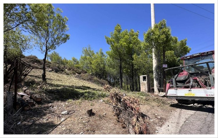 Νέα Πεντέλη: Με παρέμβαση της δημάρχου, οικόπεδο εντάχθηκε στο πρόγραμμα αντιπυρικής προστασίας Antinero