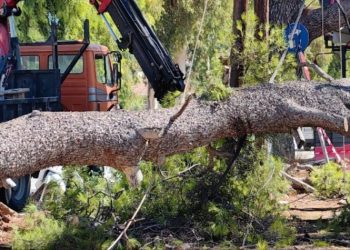 Δύο τραυματίες από πτώση δέντρου στην πλατεία Αγίας Ειρήνης - Η ανακοίνωση του Δήμου Αθηναίων