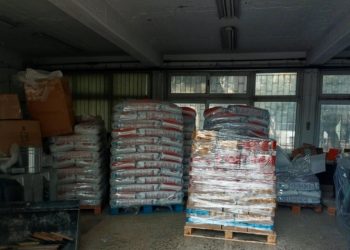 Ν.Φ. – Ν.Χ.: Νέα ημερομηνία δωρεάν διάθεσης ζωοτροφών σε φιλόζωους πολίτες για τις αδέσποτες γάτες