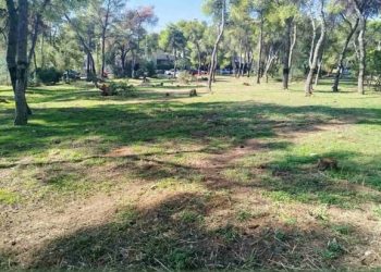 Δενδροφύτευση στoν «Αρίωνα» Νέας Λέσβου το Σάββατο 18 Οκτωβρίου