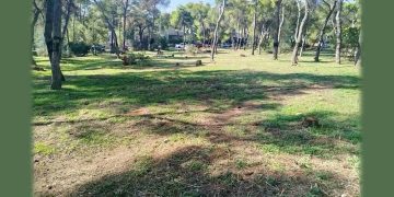 Δενδροφύτευση στoν «Αρίωνα» Νέας Λέσβου το Σάββατο 18 Οκτωβρίου