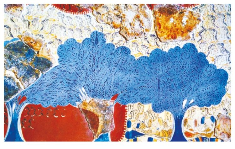 Πέγκη Φαράντου: Ακακίες των Αθηνών