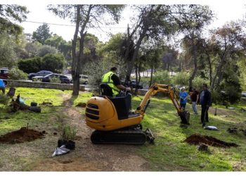 Μικροί και μεγάλοι δενδροφύτευσαν τα αλσύλλια της Νέας Λέσβου Αμαρουσίου