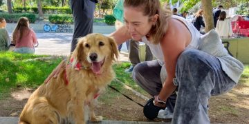 Ζώα συντροφιάς: Οδηγίες προς… ναυτιλομένους πολίτες από τη δημοτική Αρχή