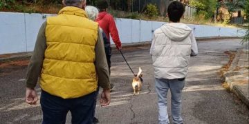 ΠΕΓΚΑΠ-ΝΥ: Περίπατοι με έναν τετράποδο φίλο για λιγότερο άγχος και συναισθηματική ευεξία