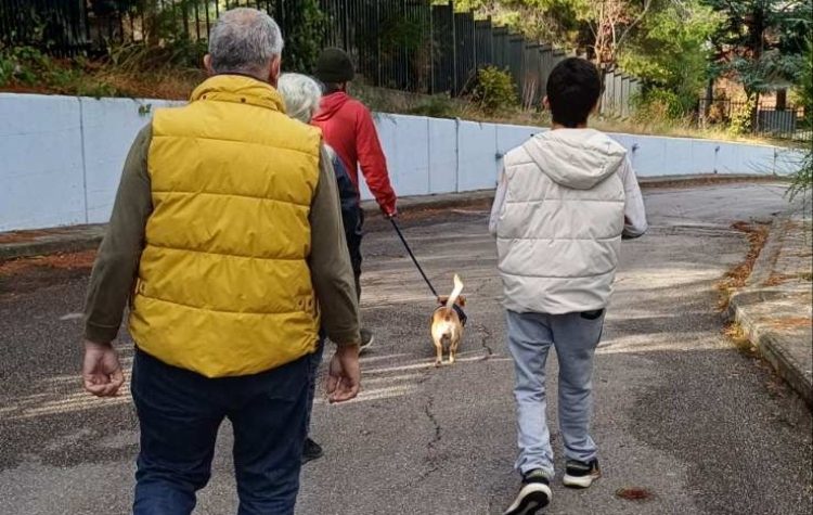 ΠΕΓΚΑΠ-ΝΥ: Περίπατοι με έναν τετράποδο φίλο για λιγότερο άγχος και συναισθηματική ευεξία