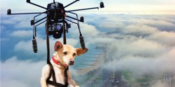 Ζω.Φι.Ψυ.: Κάλεσμα για φιλόζωους εθελοντές & χειριστές Drone