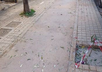 «Αποκαθιστούμε τη βιοκλιματική ανάπλαση του Κοντοπεύκου»