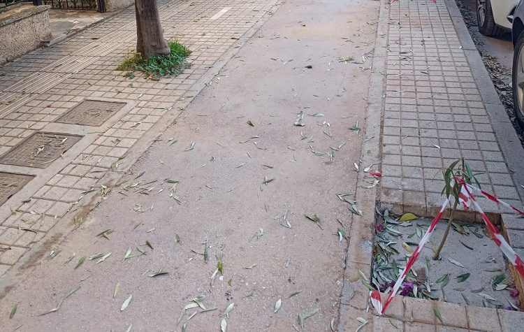 «Αποκαθιστούμε τη βιοκλιματική ανάπλαση του Κοντοπεύκου»