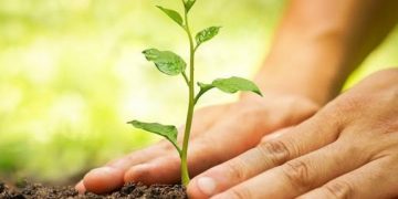 Δενδροφύτευση στο ρέμα Μαγγίνα την Κυριακή 2 Νοεμβρίου