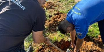 Συνολικά 125 νέες βελανιδιές φυτεύτηκαν στην οδό Αγίου Σεβαστιανού στα Άνω Βριλήσσια