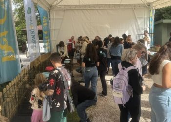 Μεγάλη γιορτή για την Παγκόσμια Ημέρα Ζώων στο Άλσος Κηφισιάς