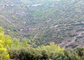 Παράνομες δραστηριότητες στο Πεντελικό βουνό καταγγέλλουν 3 Περιβαλλοντικοί φορείς