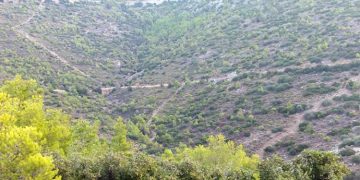 Παράνομες δραστηριότητες στο Πεντελικό βουνό καταγγέλλουν 3 Περιβαλλοντικοί φορείς